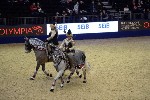 Quadrille - 00740